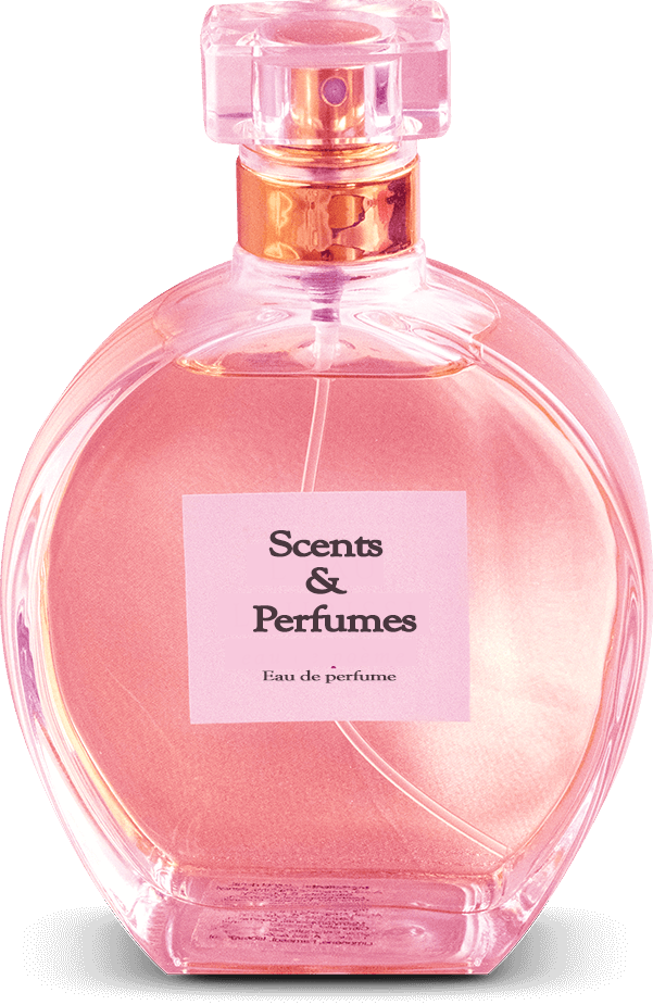 best-long-lasting-perfumes-for-women